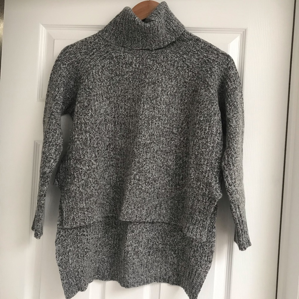EXPRESS Knitted turtleneck seeater